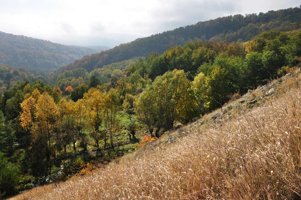 Berglandschaft