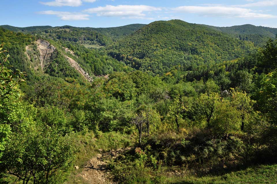 Berglandschaft