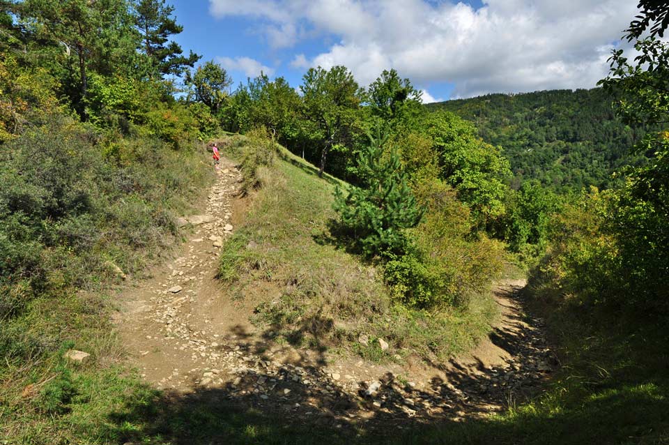 Mädchen steht auf einem Bergpfad