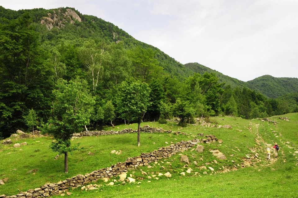 Steinmauer auf einer Wiese