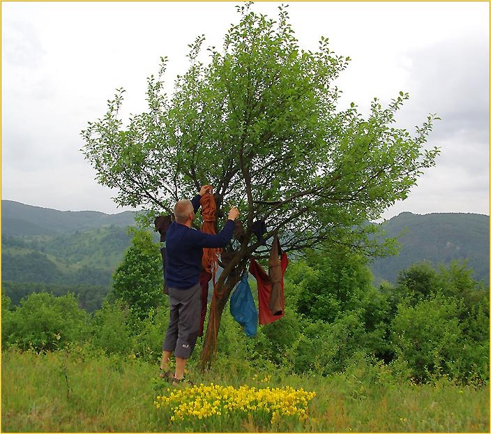 Mann hängt Sachen an einen Baum zum trocknen auf