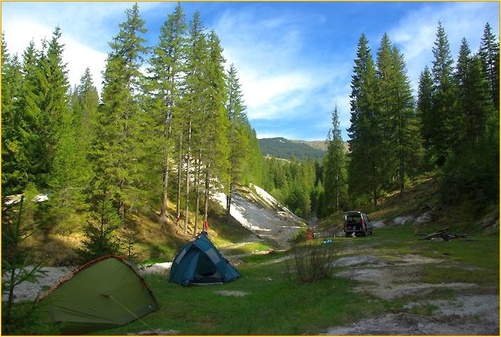 Zelte auf einer Wiese