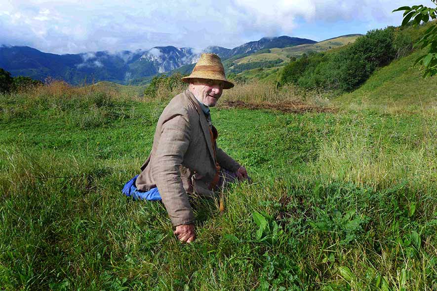 Mann sitzt auf einer Wiese