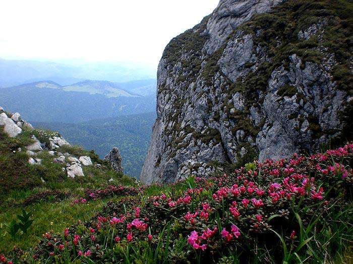 Berglandschaft