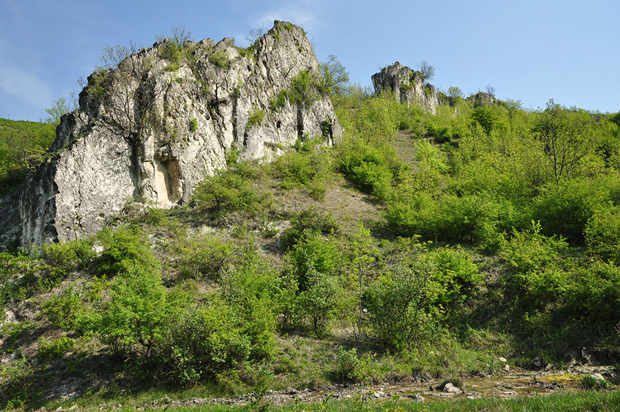 Felsformationen neben grünen Bäumen