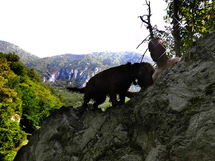 Hund vor einem Bergmassiv