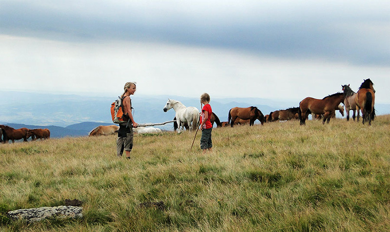 Berglandschaft mit Pferden und Kindern
