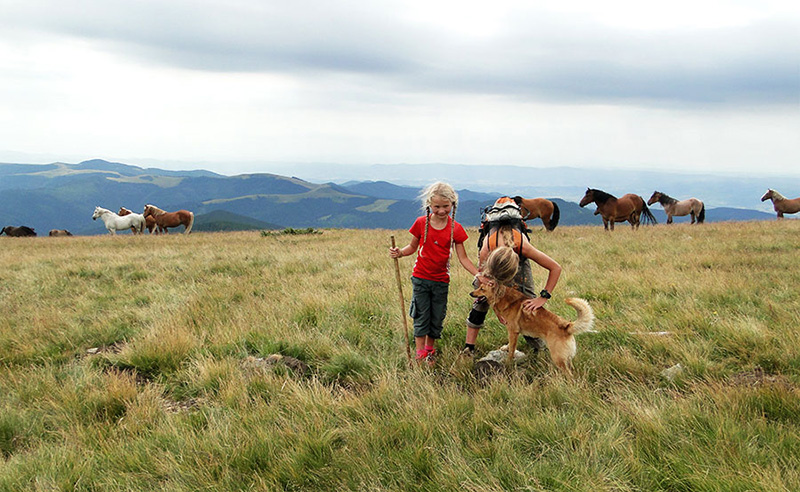 Berglandschaft mit Pferden, Kindern und Hunden