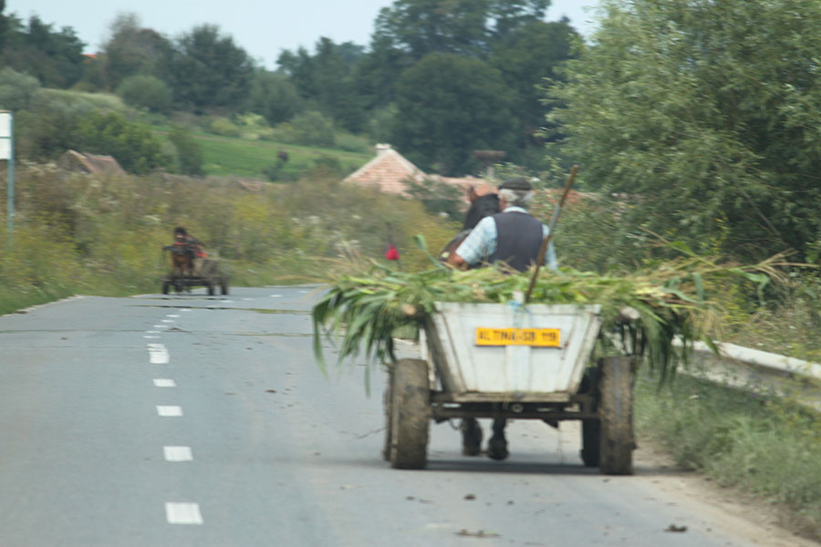 verschwommenes Foto von zwei Pferdefuhrwerken