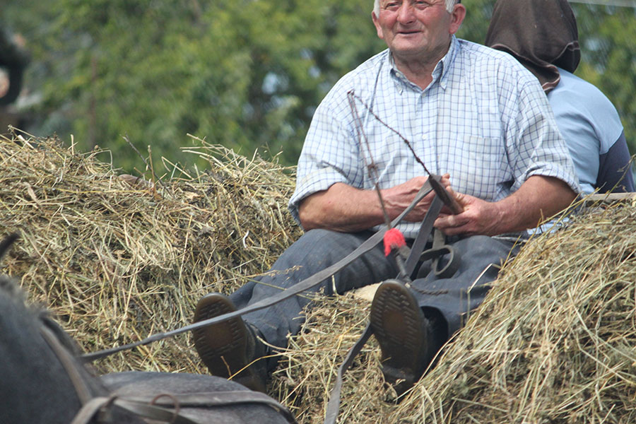 Bauer sitzt auf Stroh und hält die Pferdezügel in der Hand