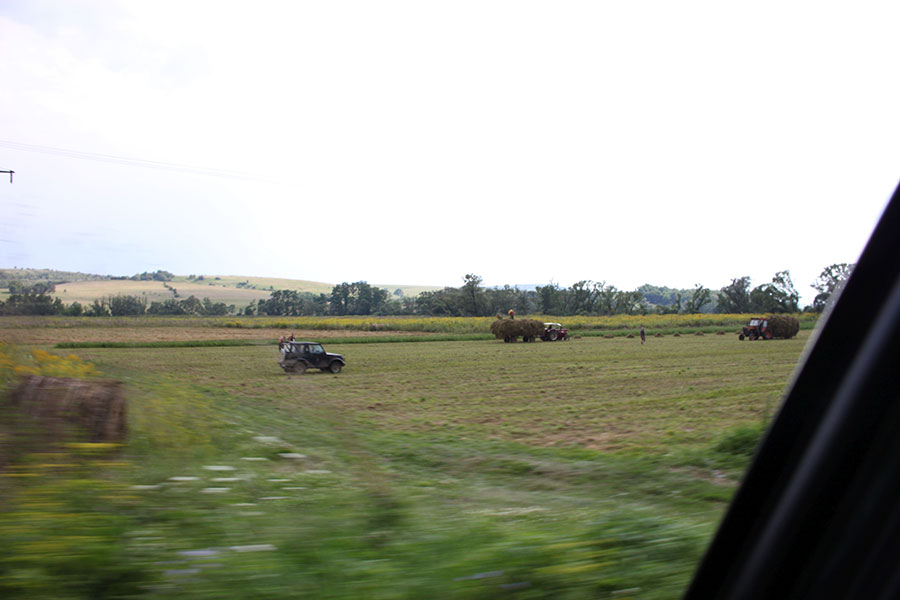 Autos auf einem Feld