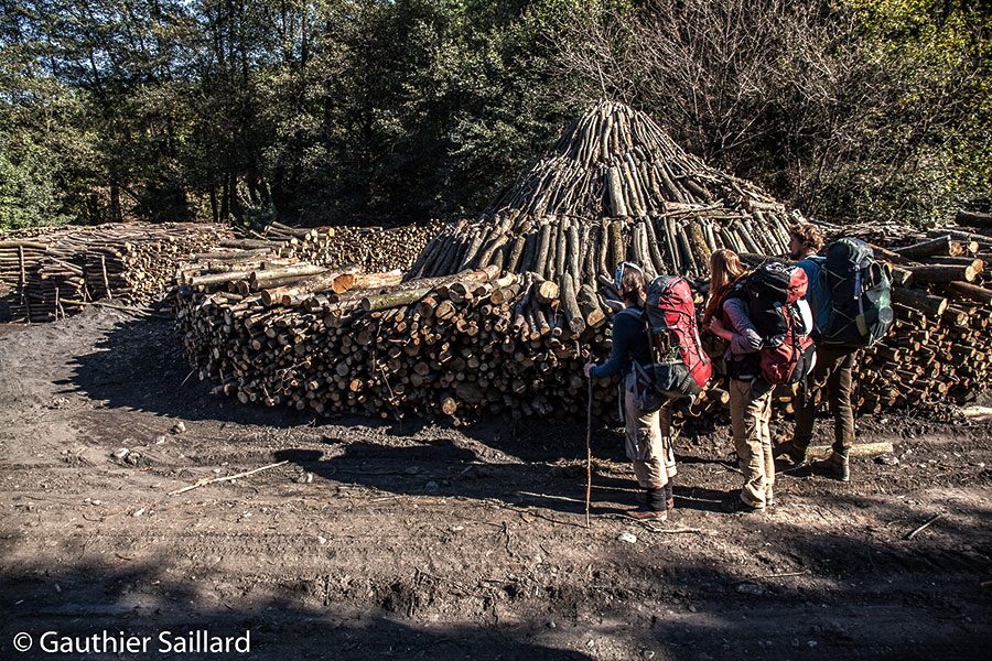 Holzstapel im Aufbau