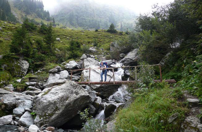 Brücke über Fluss mit Waldlichtung dahinter