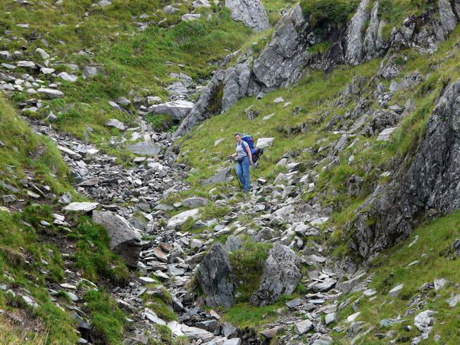 Codruta auf einem steinigen Weg stehend