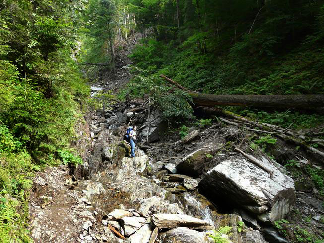 steiniger Flussverlauf