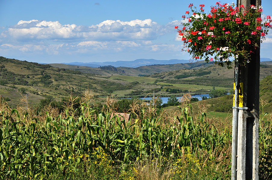 Mast mit einem Blumenkasten vor Seelandschaft