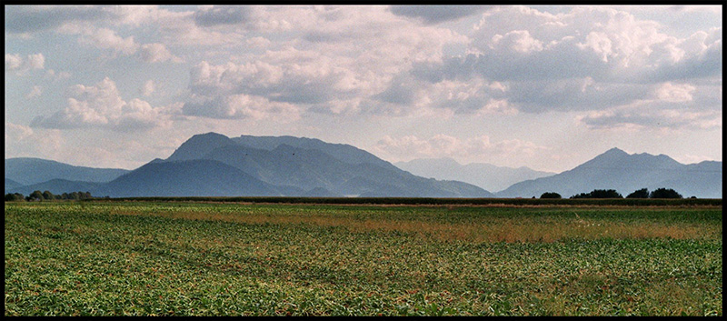 Bergkulisse hinter grünem Feld