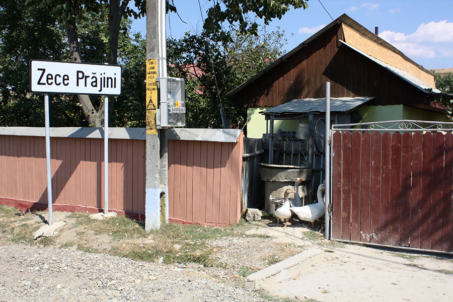 Ortseingangsschild neben Brunnen mit Gänsen