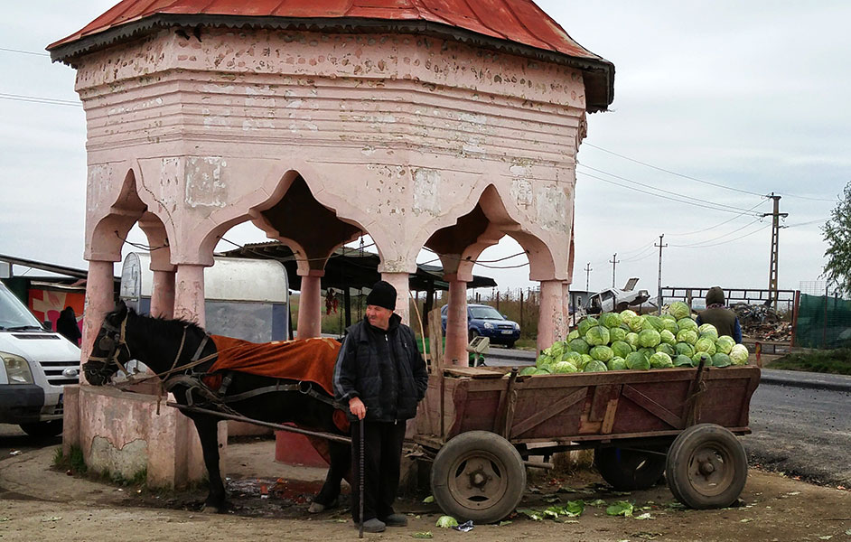 Pferdewagen mit Kraut