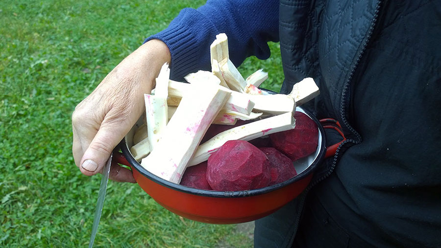 Schüssel mit Roter Beete