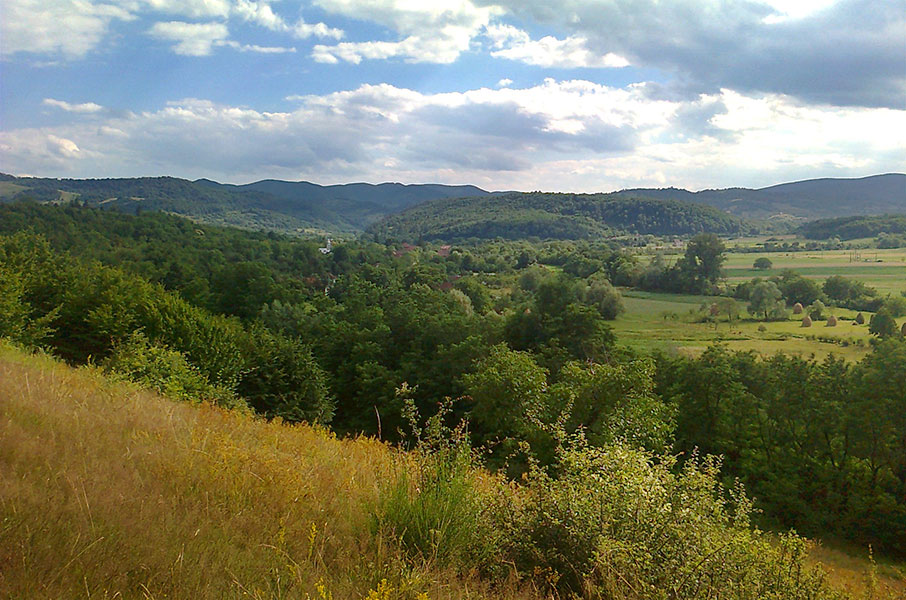 bewaldetet Bergrücken mit einem Dorf versteckt zwischen Bäumen