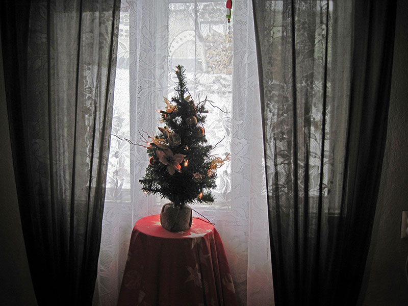 geschmückter kleiner Tannenbaum mit Lichterkette vor einem Fenster