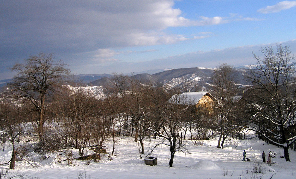 verschneite Winterlandschaft