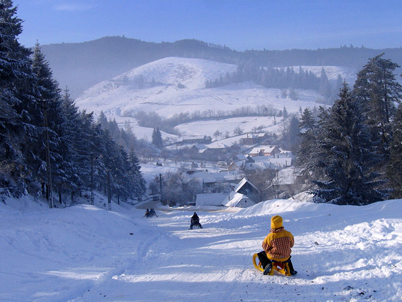 Kinder rodeln einen Berg hinunter