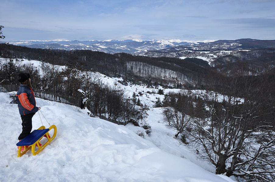 Mädchen steht mit einem Schlitten auf einen Berg und schaut in die verschneite Winterlandschaft