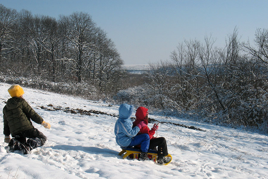 Kinder rodeln einen Berg hinunter