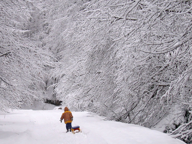 Kind zieht einen Schlitten durch einen verschneiten Winterwald