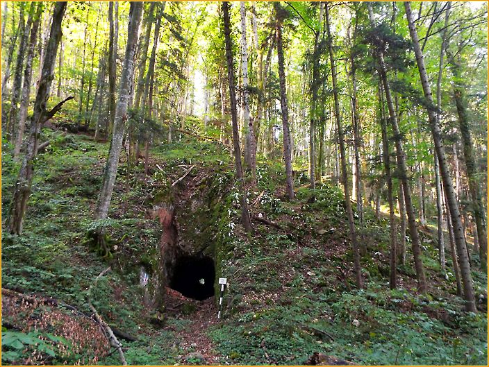 Tunneleingang für eine stillgelegte Eisenbahnstrecke in einem Waldstück
