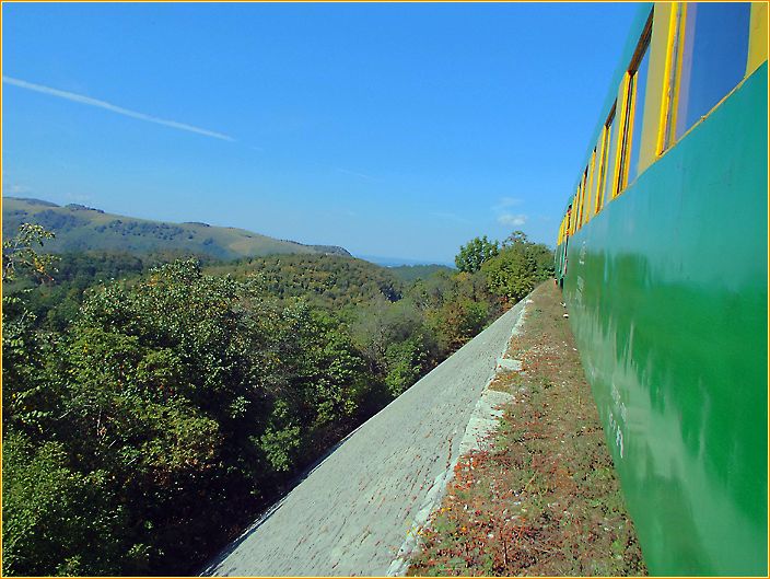 Zug fährt durch bewaldetet Berglandschaft