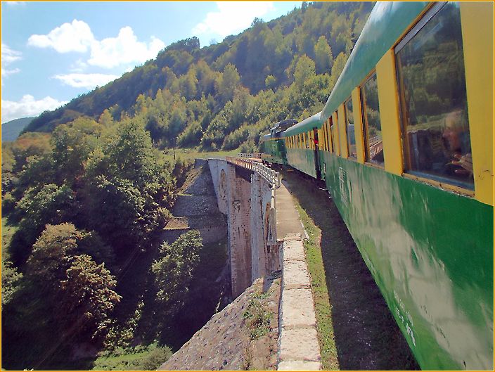 Zug fährt über eine Brücke