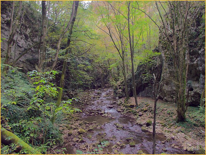 enge Schlucht mit einem Fluss in der Mitte