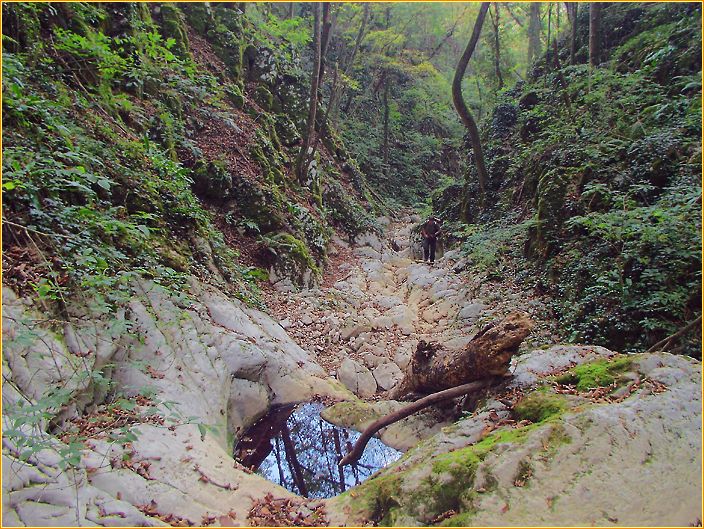 ausgetrocknetes Flussbett