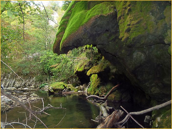 bemooste Felsen über einem Fluss