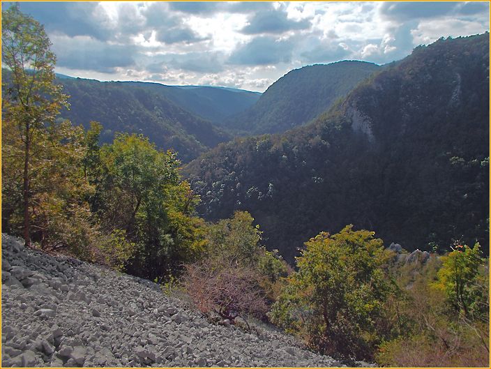 Bilder vom Berg in eine bewaldete Schlucht