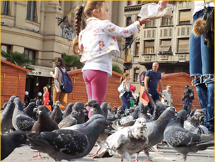Kind steht zwischen vielen Taben und füttert diese
