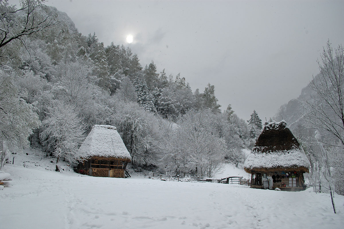 Schneelandschaft