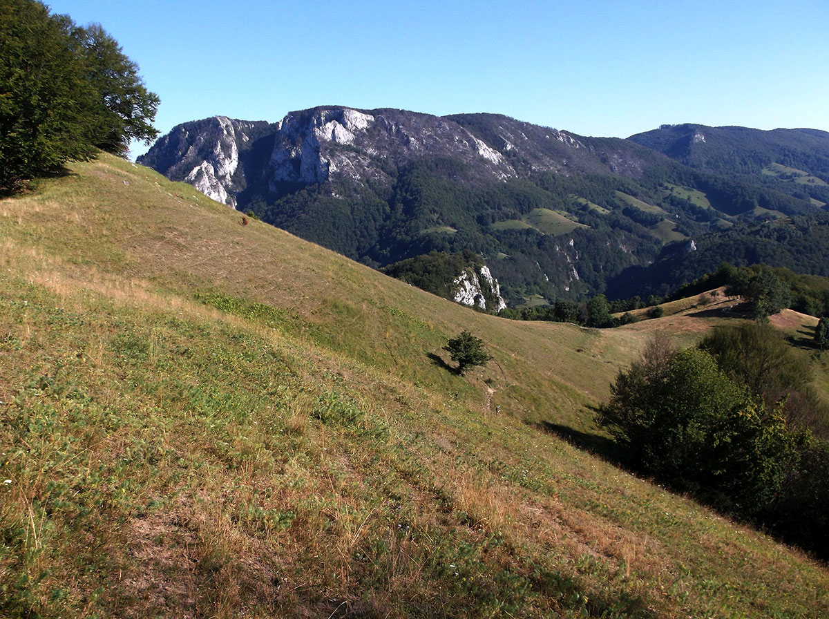 Berglandschaft