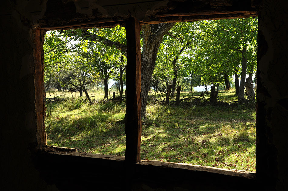 Blick durch ein altes Fenster auf Garten, Bäume und die alte Straße