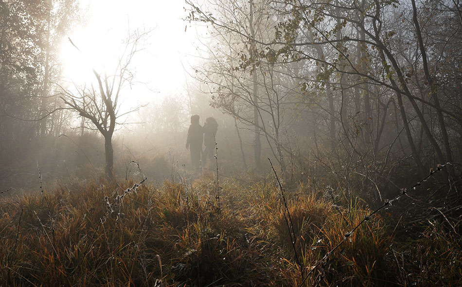 Morgennebel