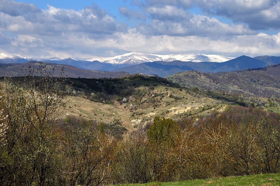 grüne Berglandschaft mit schneebedeckten Berggipfeln am Horizont