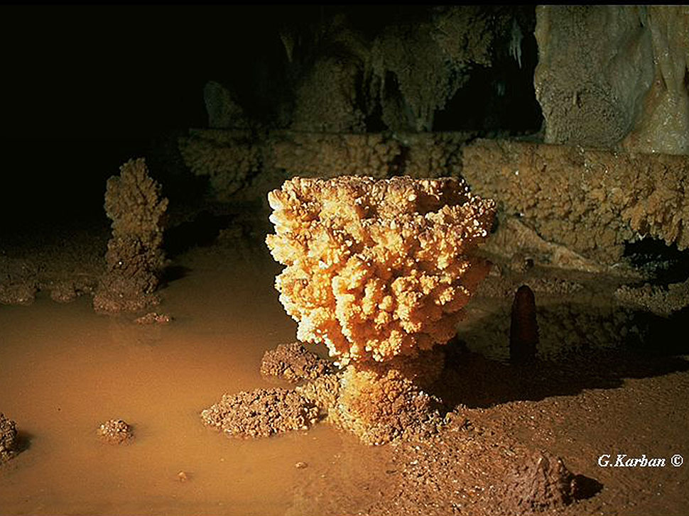 Kristallbäumchen in einer Höhle