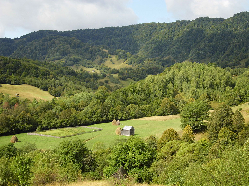 hügelige Berglandschaft mit vielen Bäumen und Wiesen auf welchen Heuschober angelegt sind und ein eingezäuntes Feld für Gemüseanbau