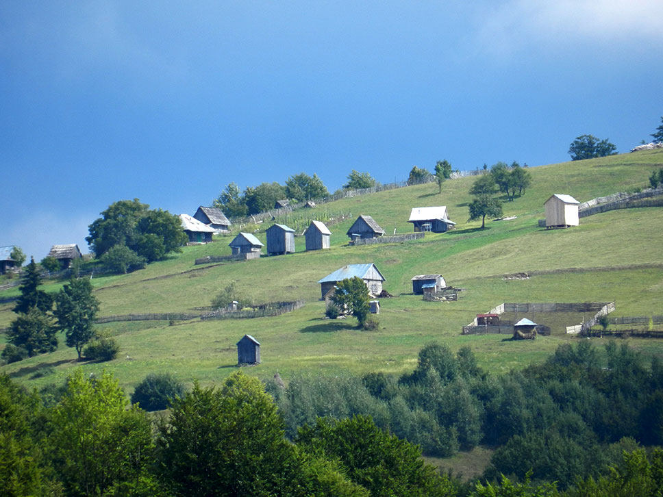 Wiese an einem Berghang mit vielen kleineren und größeren Holzhütten