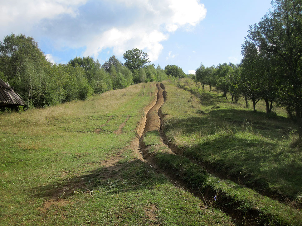 Wiese mit einem zerfurchten Feldweg