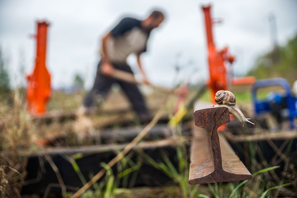 Nahaufnahme einer Schnecke auf einem Gleis