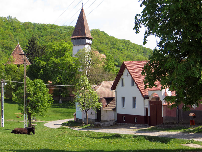 Dorfstraße mit Kirche im Hintergrund